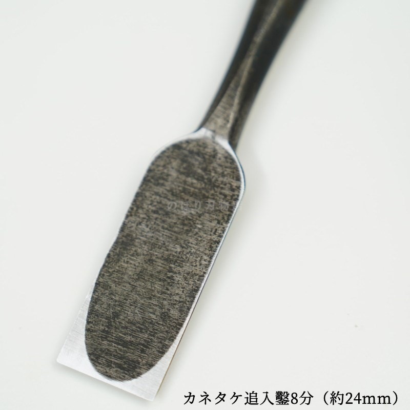 ���ͥ��� ������ ��ñ�ʡ�