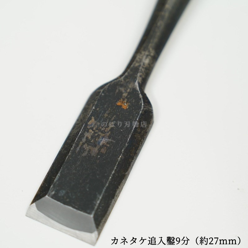 ���ͥ��� ������ ��ñ�ʡ�