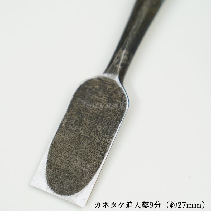 ���ͥ��� ������ ��ñ�ʡ�