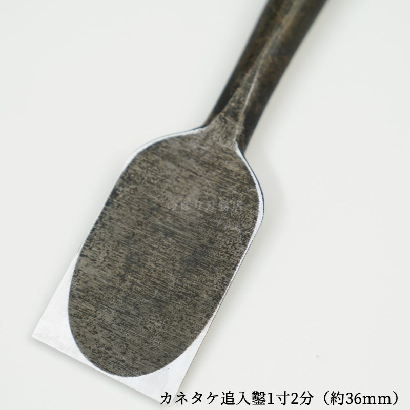 ���ͥ��� ������ ��ñ�ʡ�