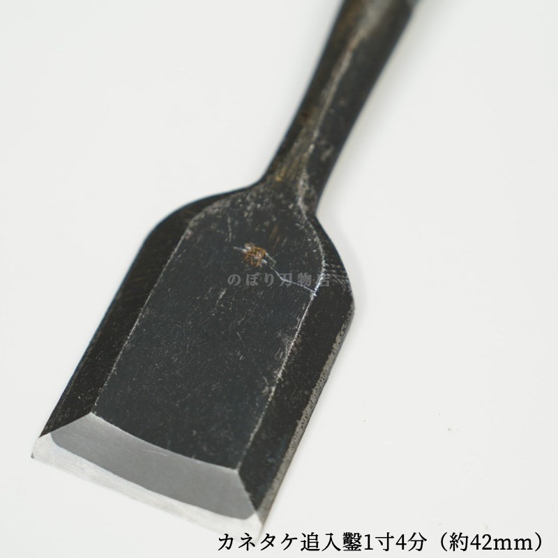 ���ͥ��� ������ ��ñ�ʡ�