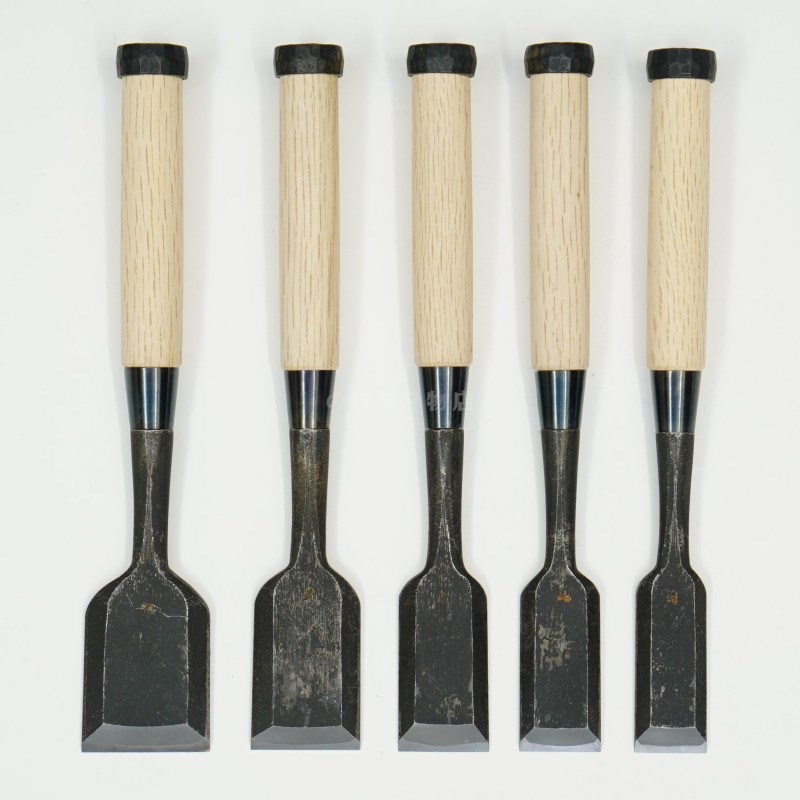 ���ͥ��� ������ ��ñ�ʡ�