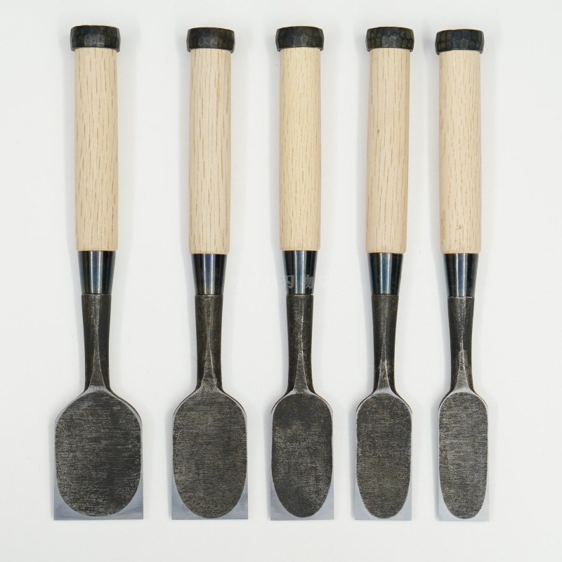 ���ͥ��� ������ ��ñ�ʡ�