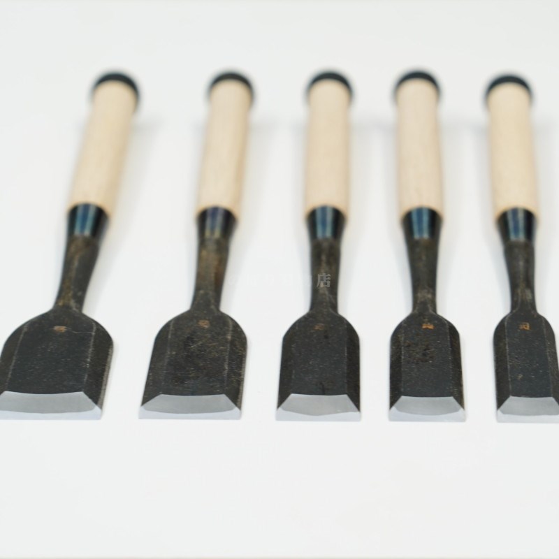 ���ͥ��� ������ ��ñ�ʡ�