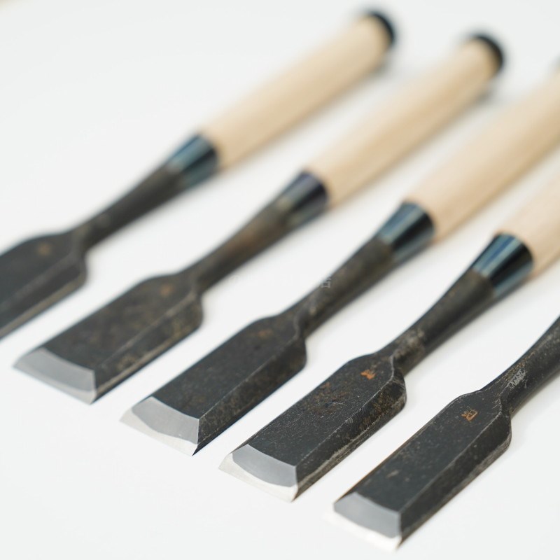 ���ͥ��� ������ ��ñ�ʡ�