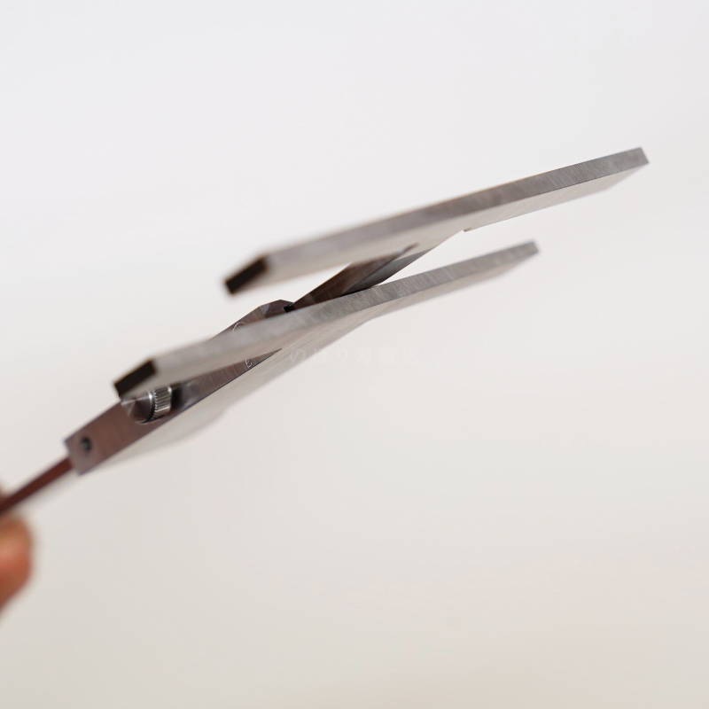 ������̩���� ����������������ü������