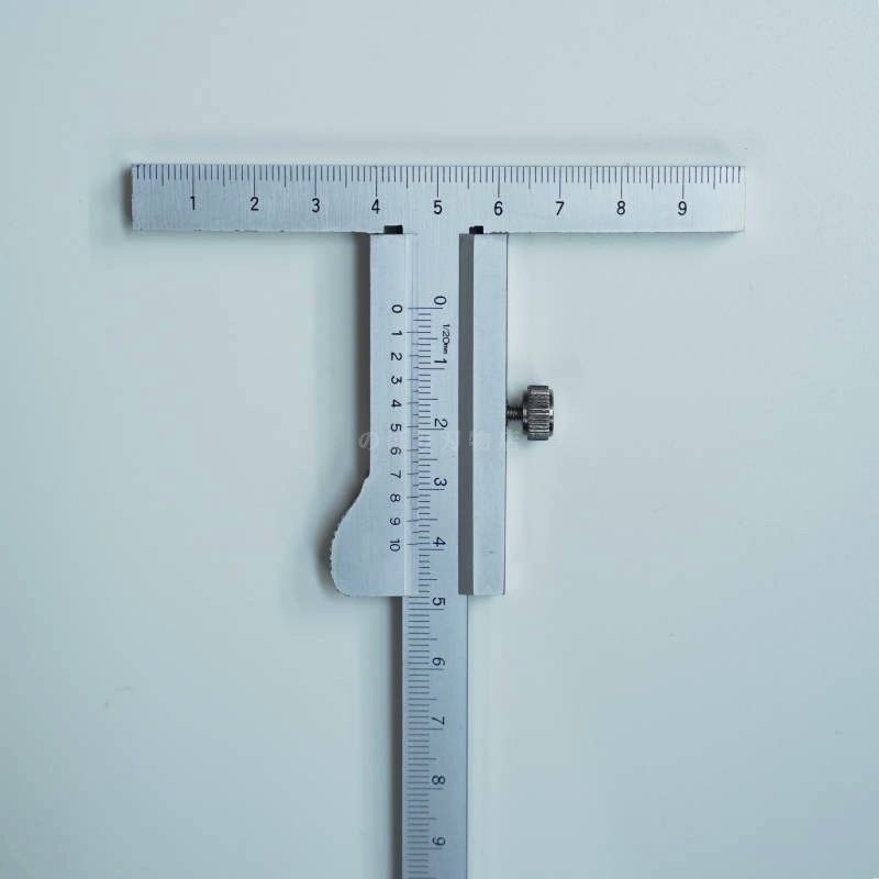 ������̩���� ����������������ü������