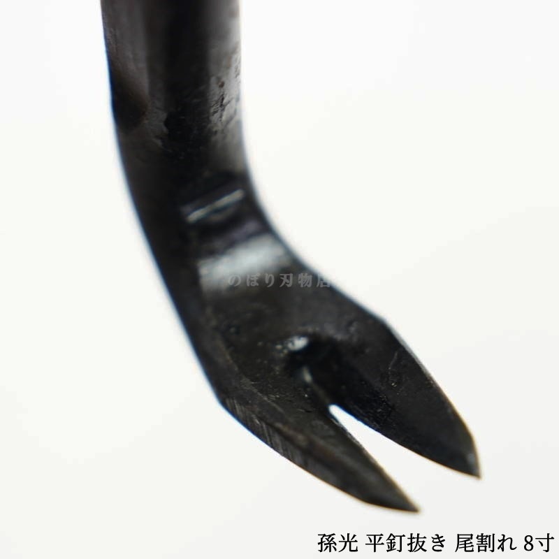 ¹�� ʿţȴ���������� 8��