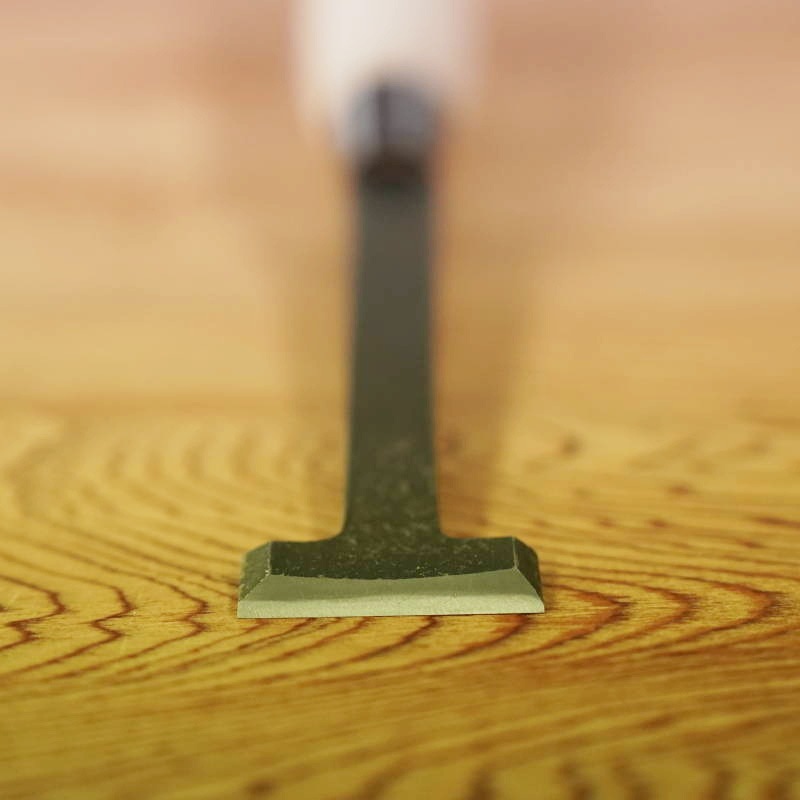 ���ͥ�����������