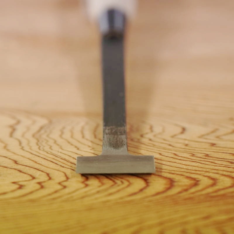 ���ͥ�����������