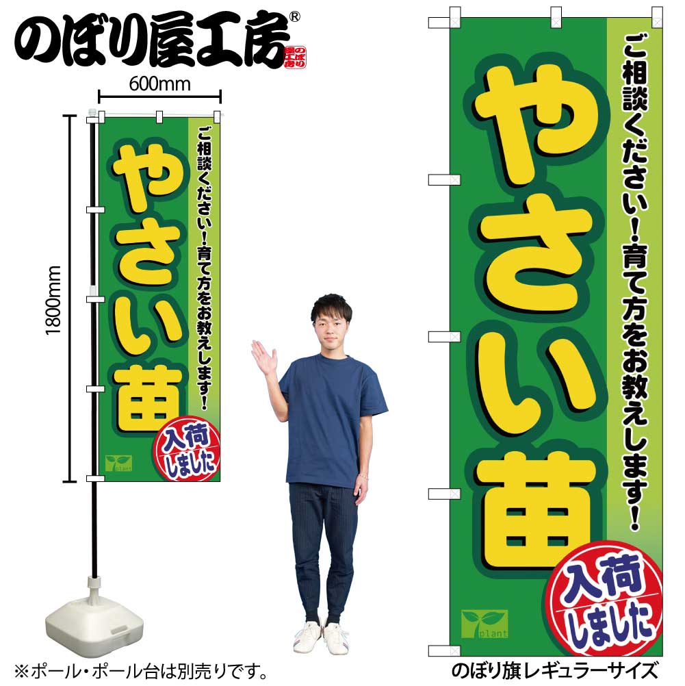 礼子様 掘り起こし苗ご注文ページ トレー苗】キャベツ・ブロッコリー・白菜・レタスご予約受付中