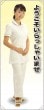 N 褦 ᥻ѥ졼 Хʡ(ϡݥ) No.62254ڼ5 ٱ祫Vol.11 P333