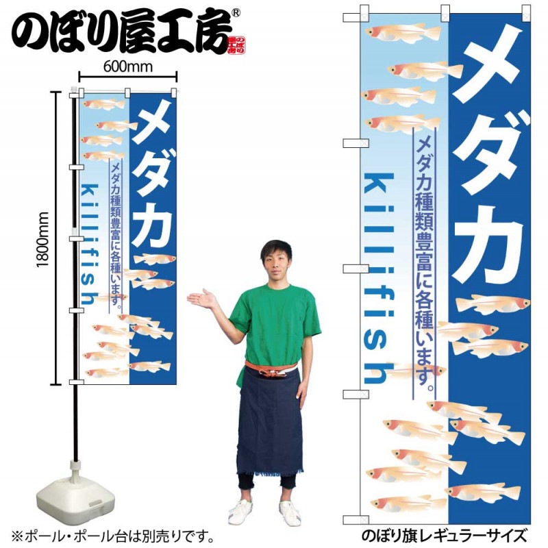 G〕 メダカ のぼり GNB-571【受注生産☆2】 | のぼり,レギュラーのぼり