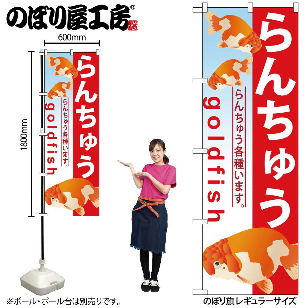 G〕 らんちゅう のぼり GNB-583【受注生産☆2】【繁盛支援カタログVol