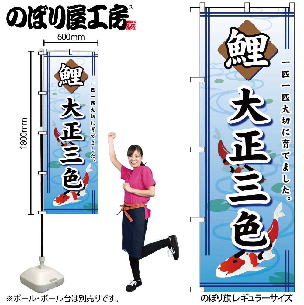 工房遊び心　のぼり旗　イメージ画像 G〕 鯉大正三色 のぼり GNB-588【受注生産☆2】【繁盛支援カタログVol