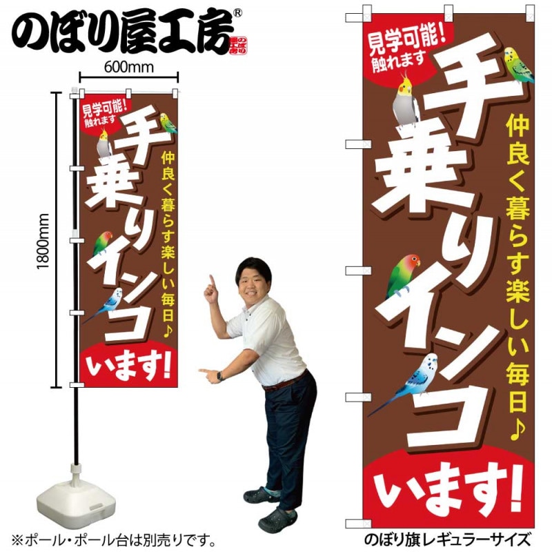 G〕 手乗りインコいます のぼり GNB-616【受注生産☆2】【繁盛支援