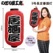 ��N�� ��Ĺ���� ��� No.9067 ���̾�߸��ʡۡ������ٱ祫������Vol.14 P185��