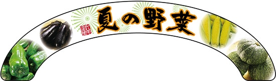 ��N�ͥ������ѥͥ� 24120 �Ƥ���� ��ڼ���������5�ۡ������ٱ祫������Vol.14 P307��