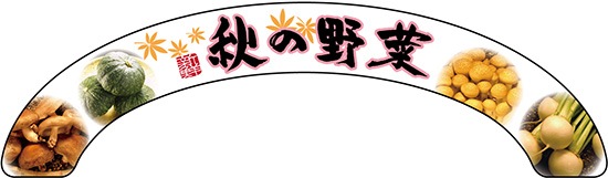 ��N�ͥ������ѥͥ� 24122 ������� ��ڼ���������5�ۡ������ٱ祫������Vol.14 P307��