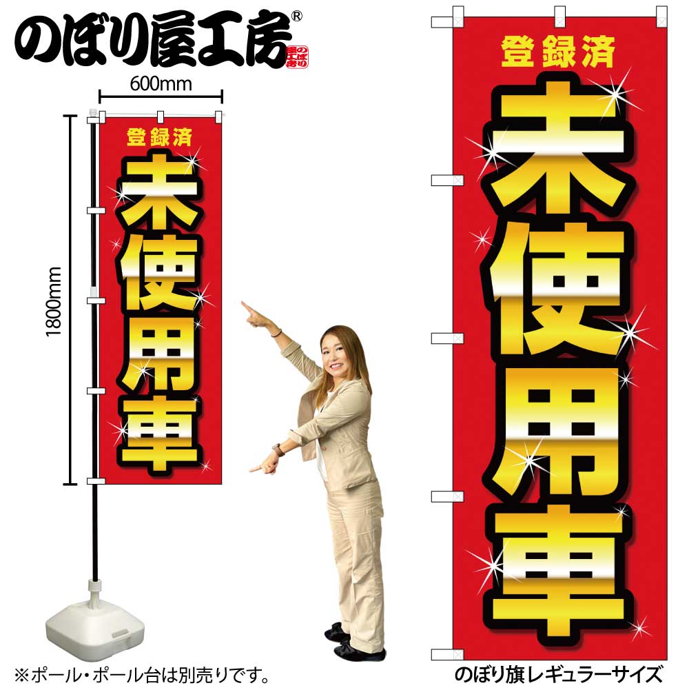 のぼり旗【 24H 愛車を手洗いしよう コイン洗車 】NOB-KT0505 幅650mm 10枚セット