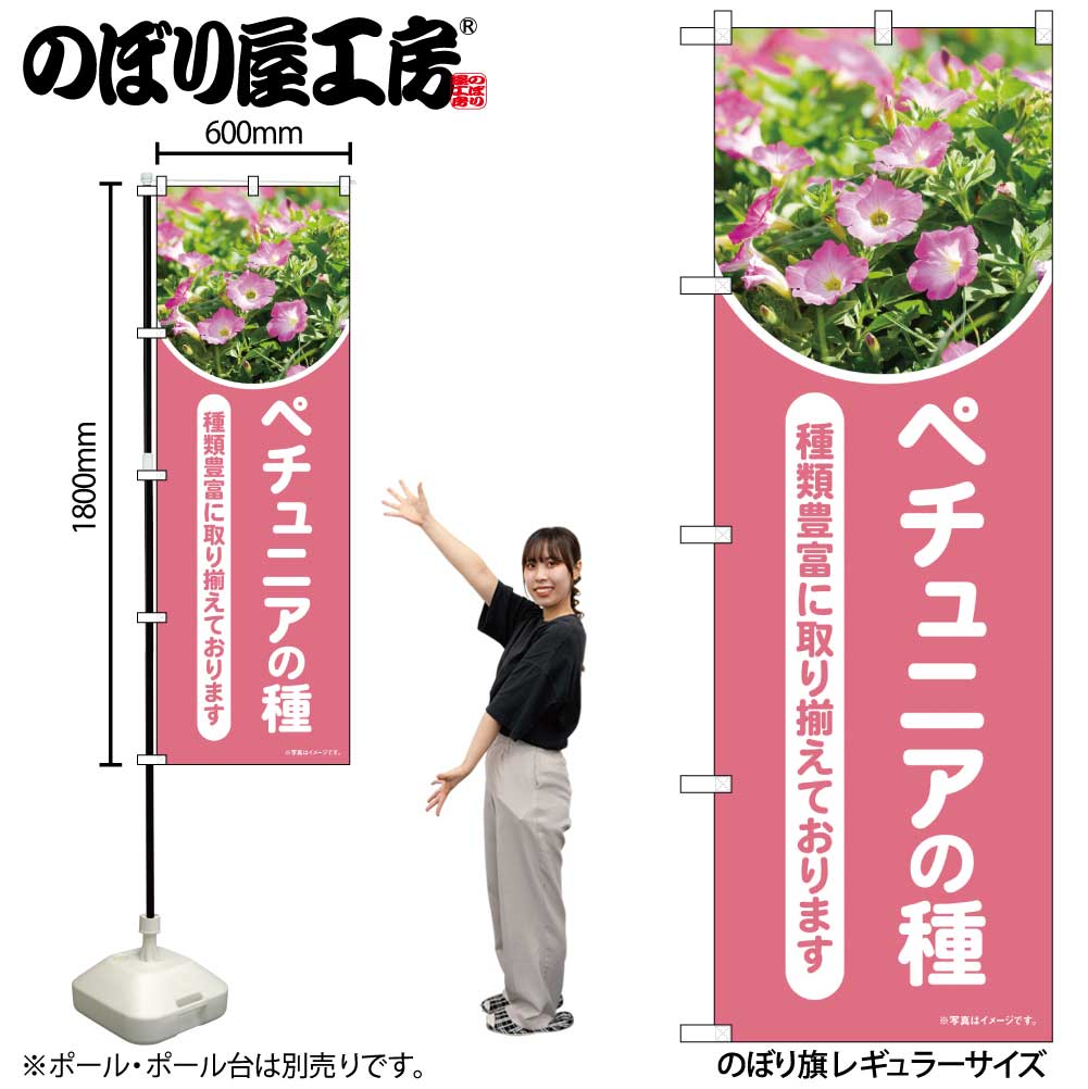 N] のぼり ペチュニアの種 ピンク 写真 OTM No.84241 【受注生産☆2