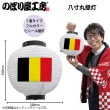 [N] �ե륫�顼���� �٥륮�� Ȭ���� �� 54421 �ڼ��������ʡ�7��