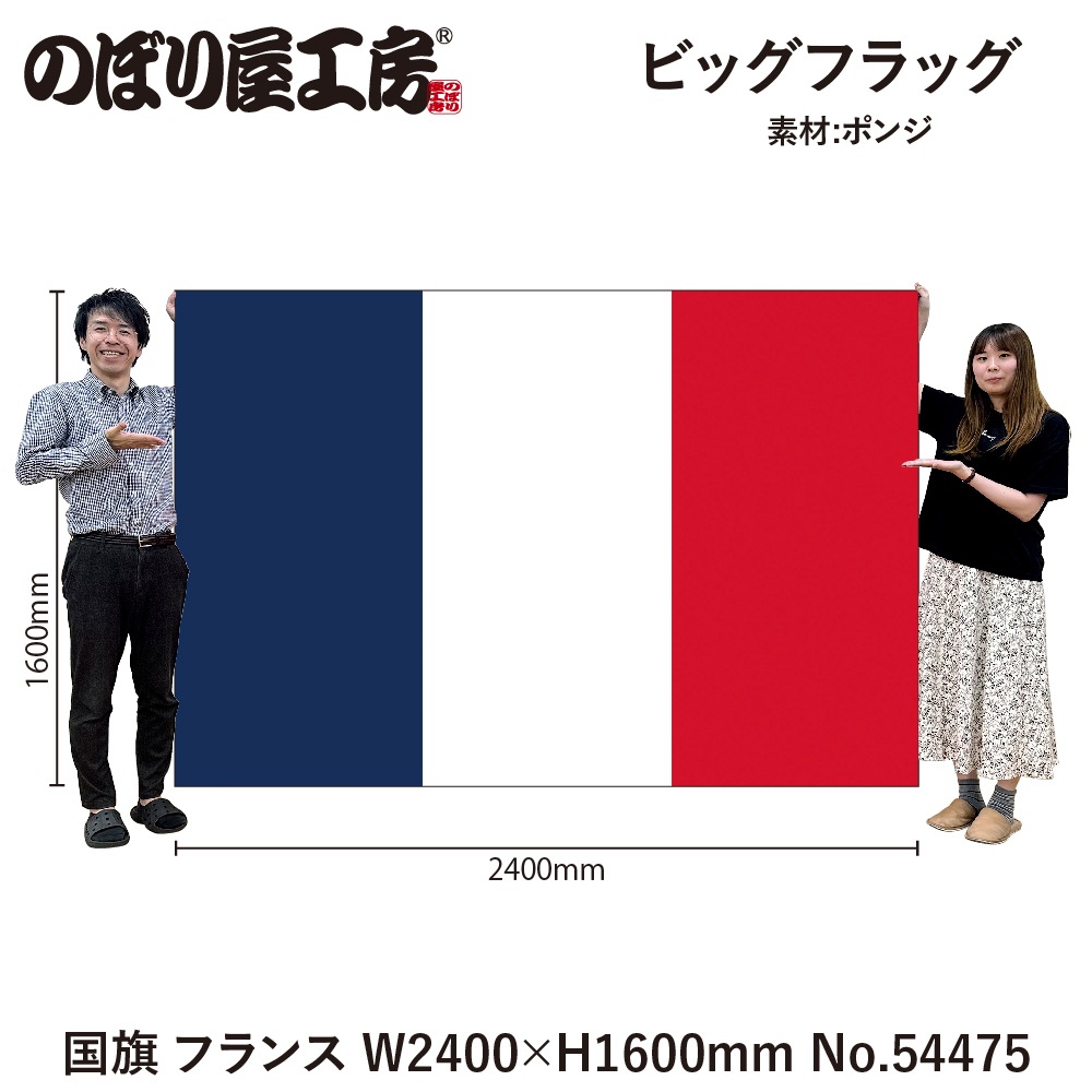 N] ビッグフラッグ大 国旗 フランス 大(販促用) 54475 【受注生産品☆3