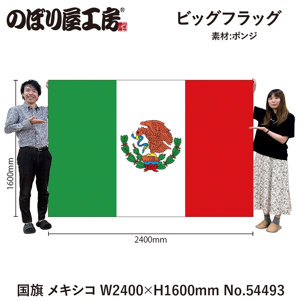 N] ビッグフラッグ大 国旗 メキシコ 大(販促用) 54493 【受注生産品☆3