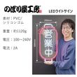 [N] LED�饤�ȥ����� �Ķ��� ������ 56031 ���̾�߸��ʡ�
