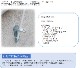 ��K�� ��� �ݡ���ۥ���� No.45485 �ڼ���ʡ�1�ۡ����佪λ��