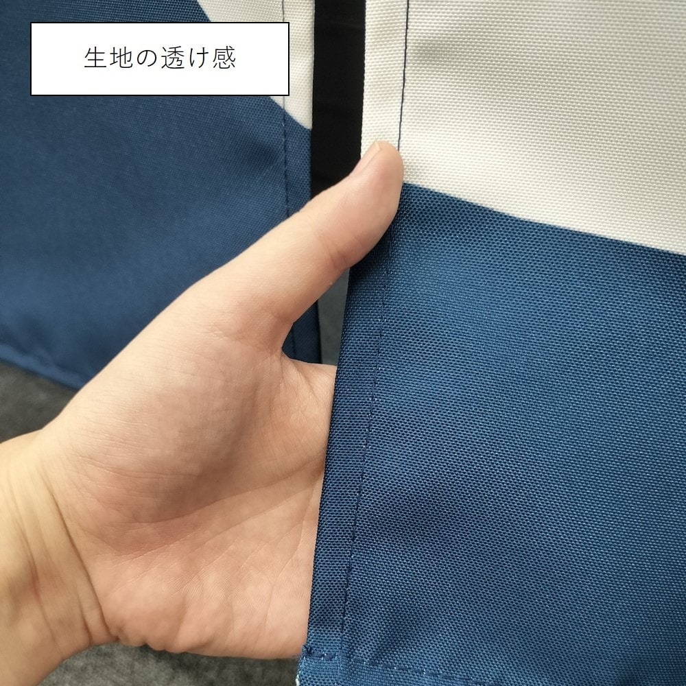 フルカラーのれん　うなぎ　受注生産品 フルカラーのれん(暖簾) 「うなぎ」 のぼり屋工房⁄業務用⁄新品 | 和食