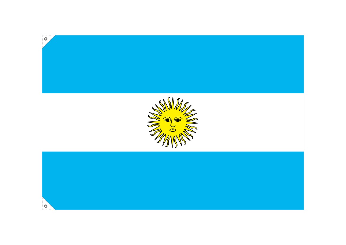N〕国旗 アルゼンチン 大（販促用） No.23735【受注生産☆5】【繁盛