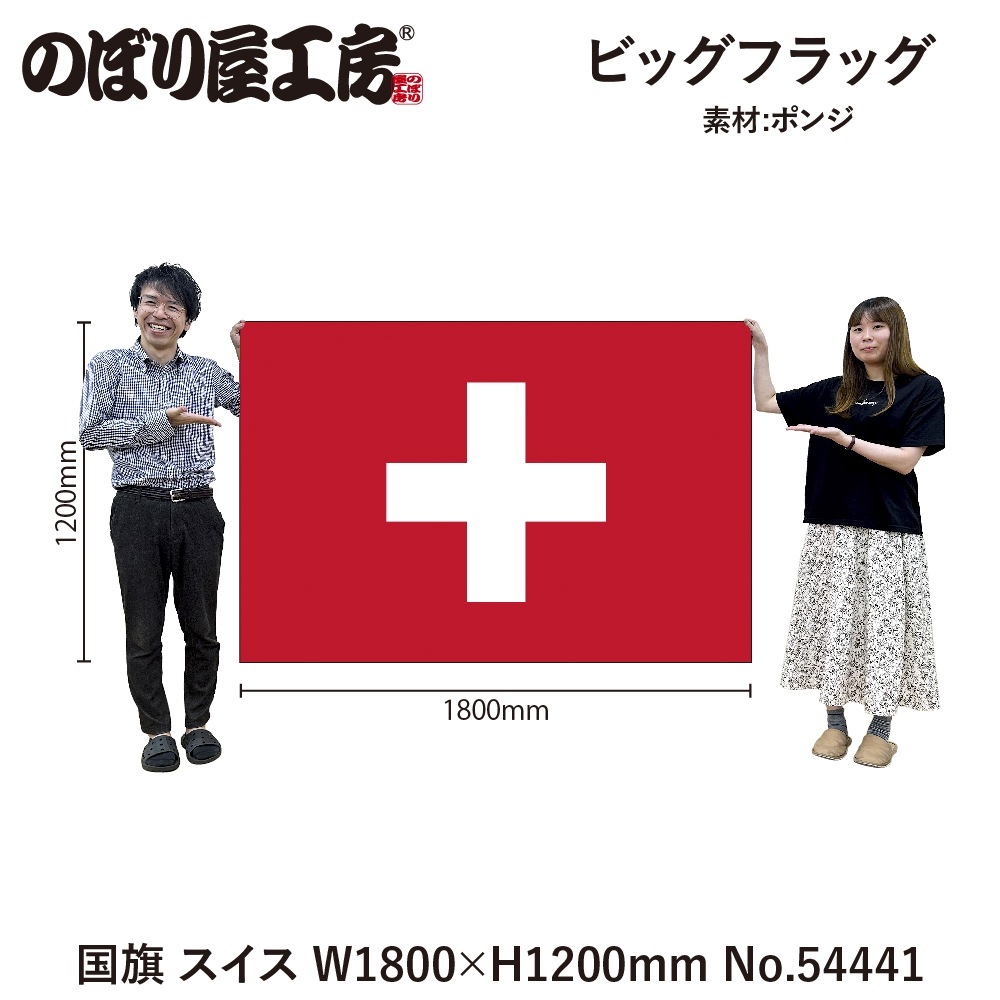 [N] �ӥå��ե�å��� ��� ������ ��(��¥��) 54441 �ڼ��������ʡ�3��