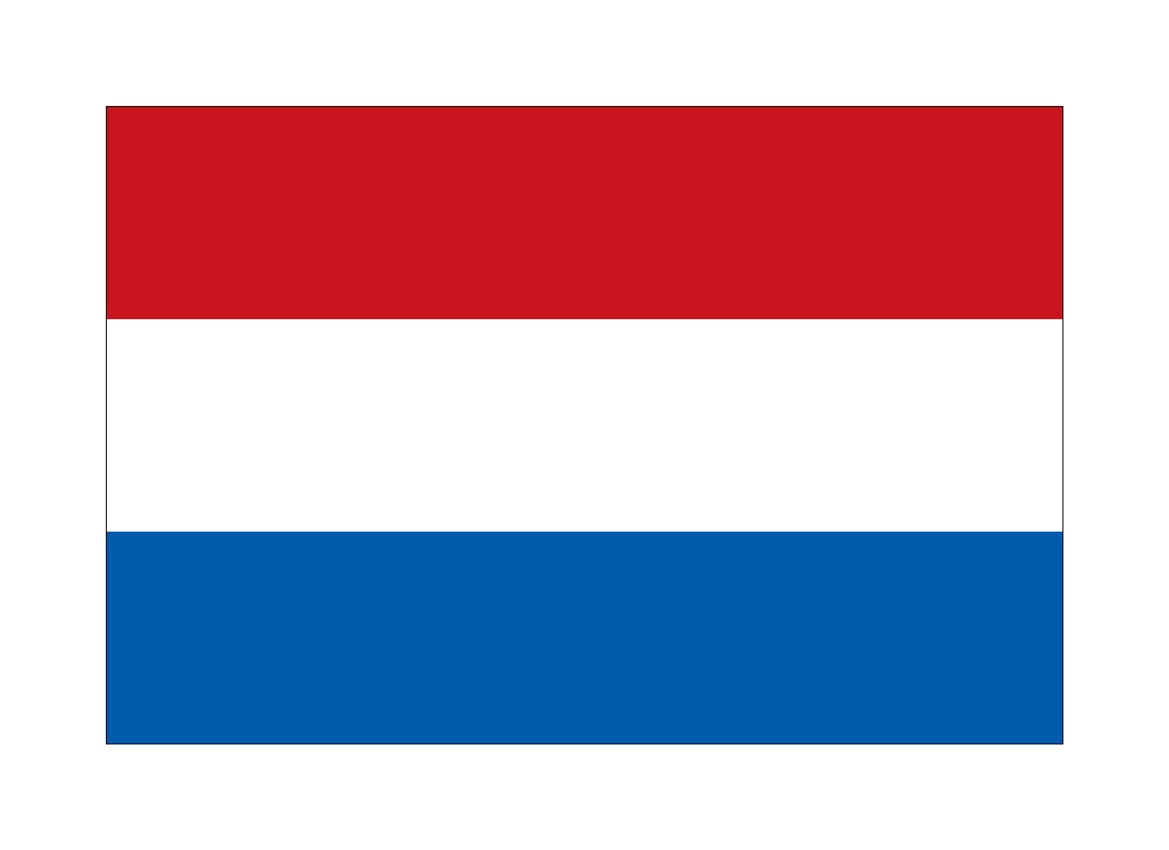 [N] �ӥå��ե�å��� ��� ������ ��(��¥��) 54442 �ڼ��������ʡ�3��
