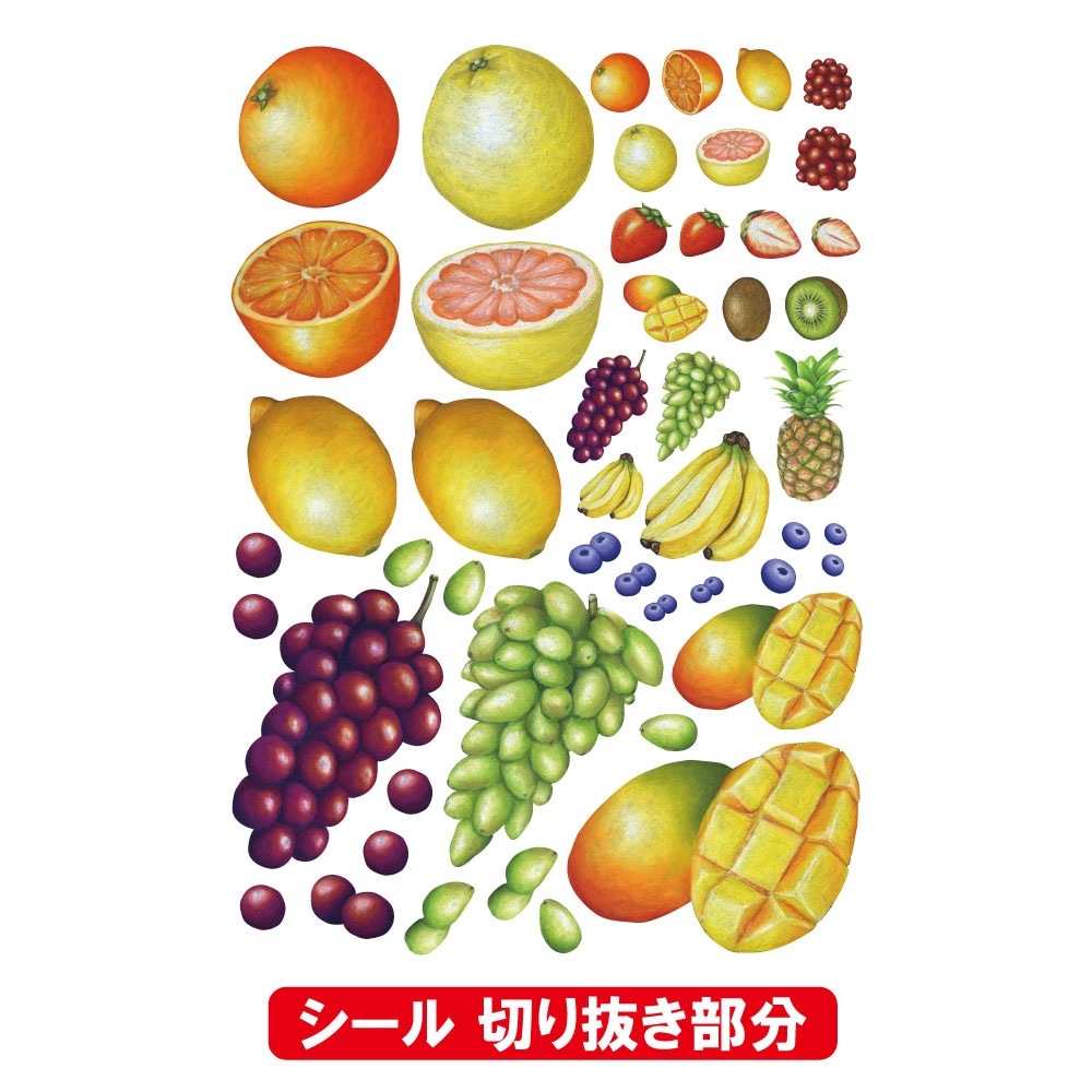 [P] ǥA4 ߥɥ ե롼1 No.45607 ڼ3ۡ佪λ