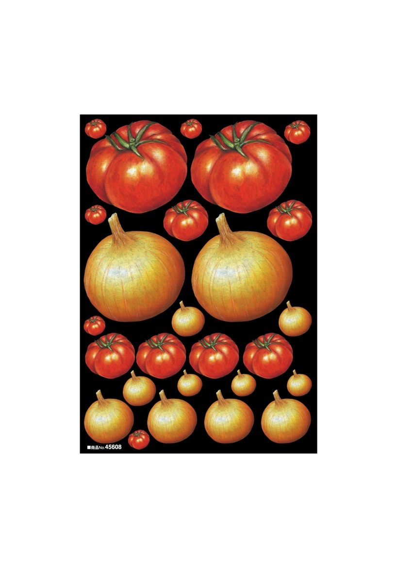 [P] ǥA4 ȥޥ ޥͥ No.45608 ڼ3ۡ佪λ