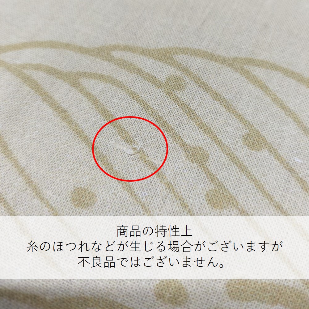 [N] 꿡 ̺JAPAN 52738 ̾߸ʡ