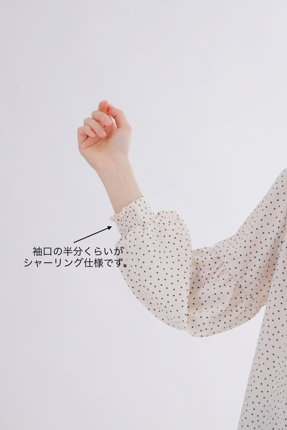 [�����ʥɥå���]�ϥ��ͥå�Ĺµ�֥饦��