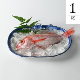 のどぐろ1尾(焼・煮付け用)【冷凍配送】