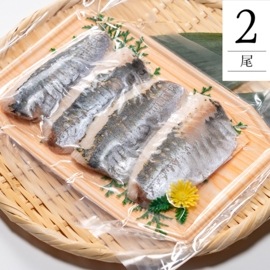 【数量限定】どんちっちアジの刺身（冷凍）４切