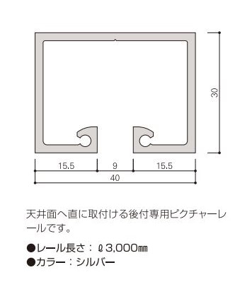 ひいらぎ　2点おまとめ メーカー直送品 [タキヤ] ピクチャーレール A-1 レール 【送料