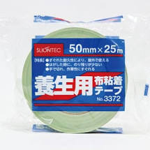 ǴơףΣ33725025ꥪƥå1ñ̡