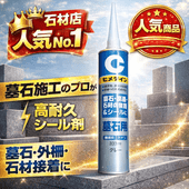 ��100��ñ�̡ۥ�������� ������ �������� �к�����塦����