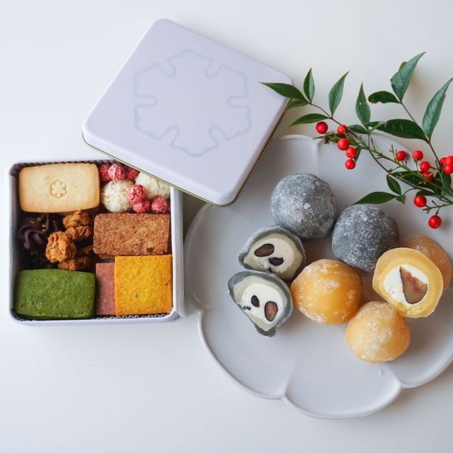 ��������Υ�������ʡ�ޡ�B���åȡ�2025-2026�ڿ��̸����