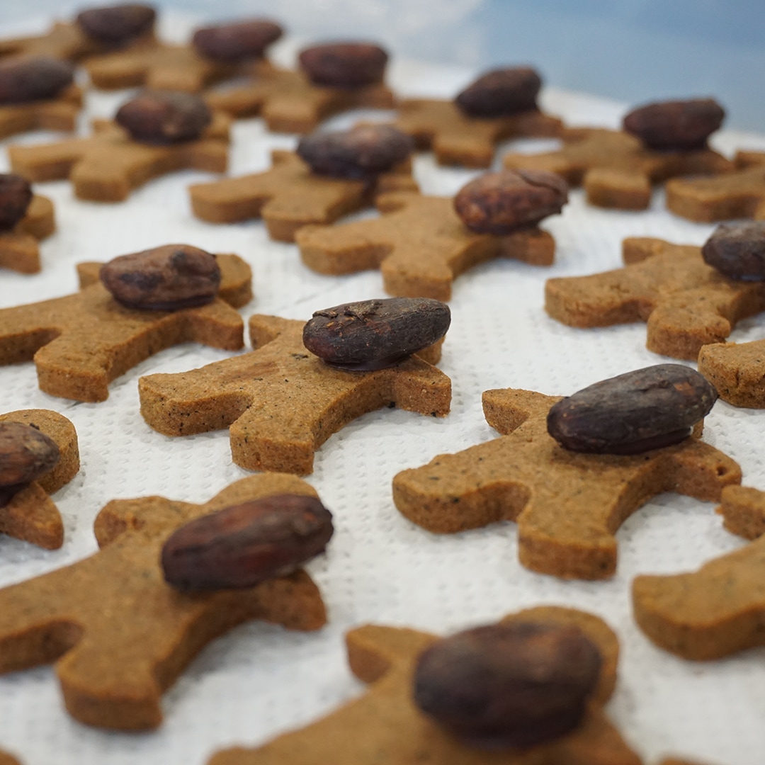 ��������Υ��祳�졼�� -20����- �������� ���Ĥ������٤뤪Ǥ�����åȡ�