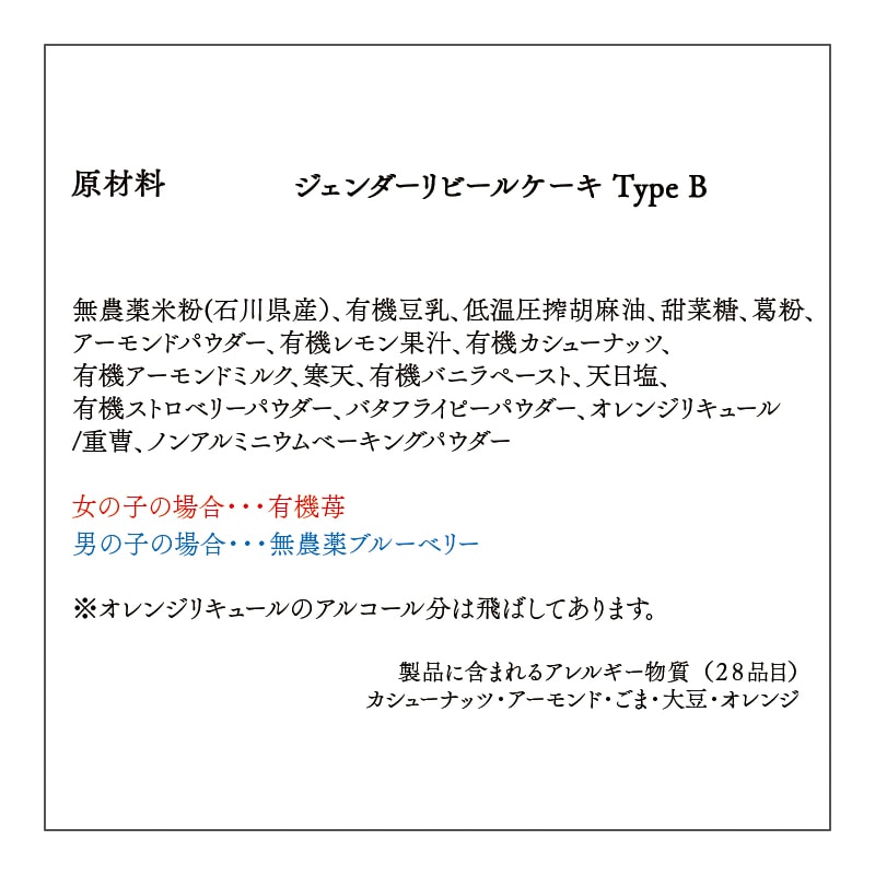 �����������ӡ��륱���� Type B