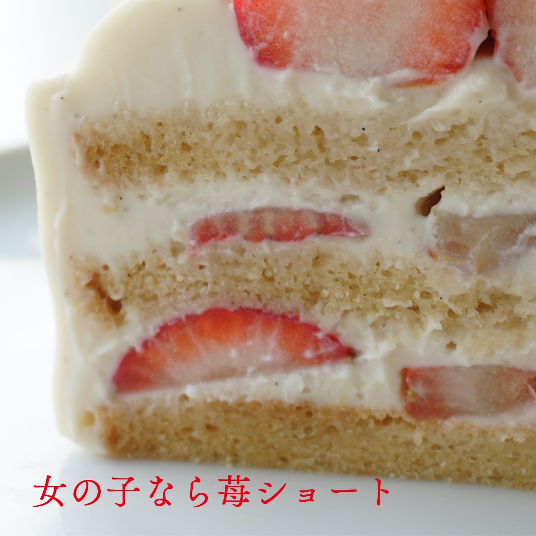 �����������ӡ��륱���� Type B