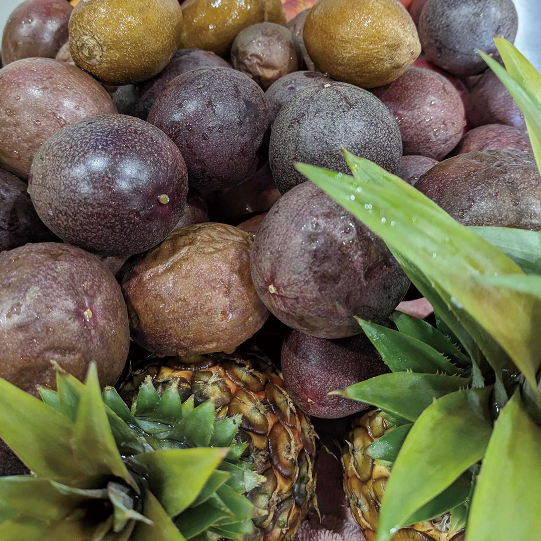 ǥ륷å -- ե롼ĥѥ --ڼ