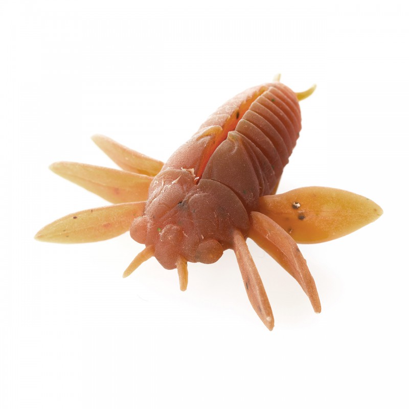 �ƥ��ॳ������å������å��� �ѥ˥å����������� Panic Cicada