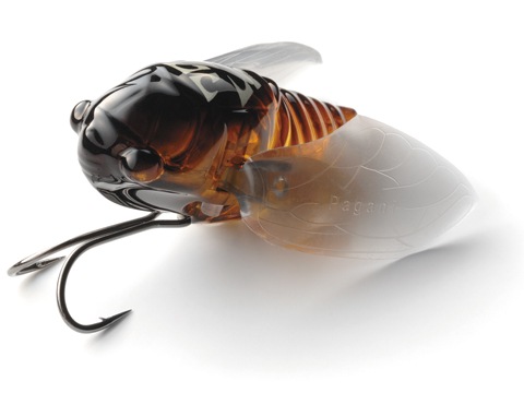 �ᥬ�Х��������졡SIGLETT